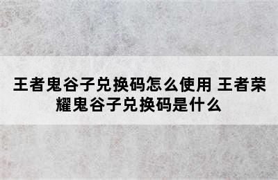 王者鬼谷子兑换码怎么使用 王者荣耀鬼谷子兑换码是什么